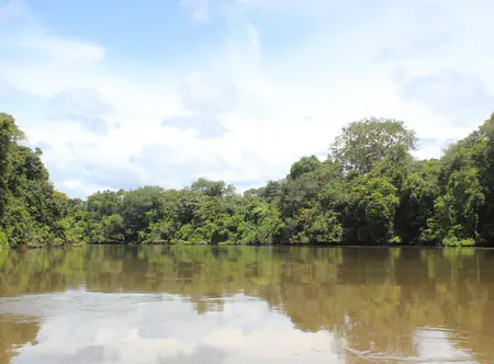 Fayil:Kaba or Little Scarcies River ...