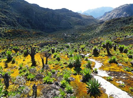 File:Rwenzori Mountains.jpg - Wikimedia ...