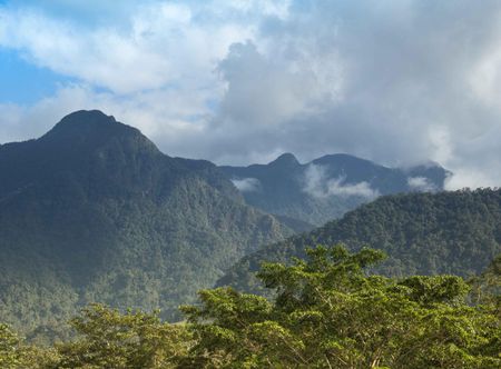 Archivo:Pico-Bonito (12122463094).jpg ...