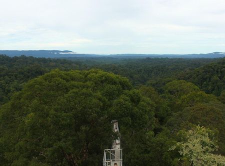 File:Over borneo.jpg - Wikimedia Commons