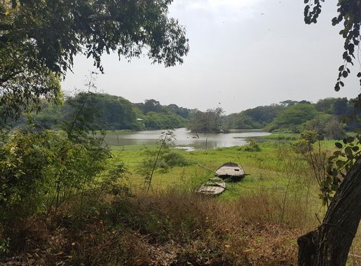 File:Kanpur zoo lake 3.jpg - Wikimedia Commons