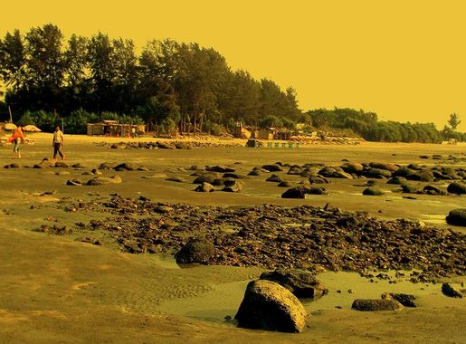 File:Coral Reef of Saint Martin Island Bangladesh.JPG - Wikimedia Commons