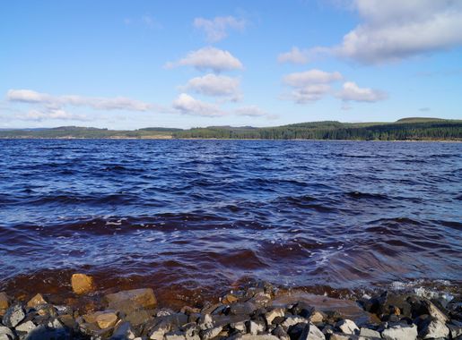 100 or less: Kielder Water & Forest Park, England > Royal Air Force  Lakenheath > Article Display