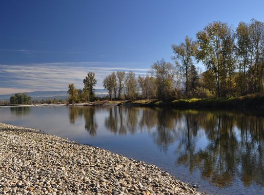 File:Bitterroot-river-near-victor-montana-10142010-rogermpeterson-007  (5622610731).jpg - Wikipedia
