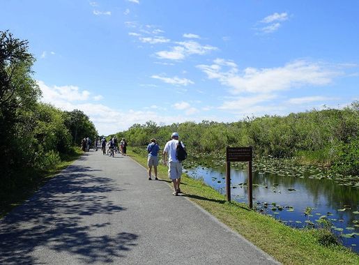 File:Shark Valley Loop Road - Shark Valley - Everglades National Park -  DSC09507.jpg - Wikimedia Commons