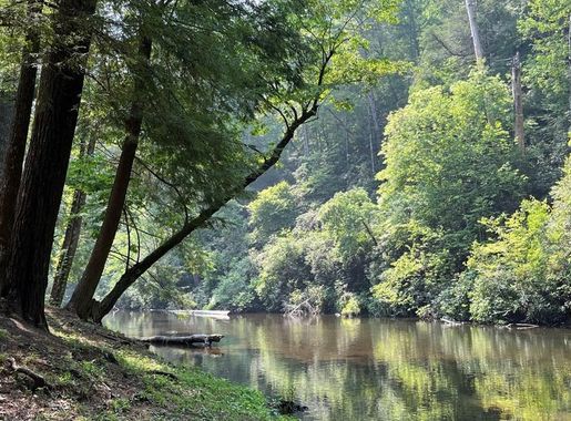 Abrams Creek & Look Rock Area - Great Smoky Mountains National Park (U.S.  National Park Service)