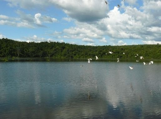 File:Lake Ravelobe, Ankarafantsika National Park, Madagascar.jpg -  Wikimedia Commons