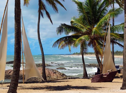 Free Images : landscape, sea, coast, tree, ocean, shore, vacation, travel,  bay, body of water, side, caribbean, sandy beach, tropics, cape, coconut  trees, brazilwood, salvador de bahia, arecales, palm family 3872x2592 - -