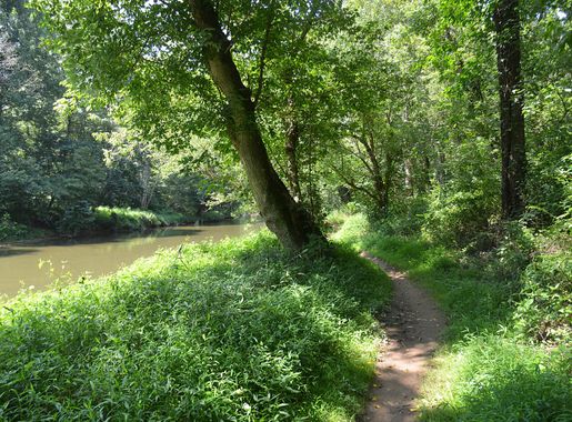 File:Seneca creek greenway trail at berryville rd maryland 20200809 113606  1.jpg - Wikimedia Commons