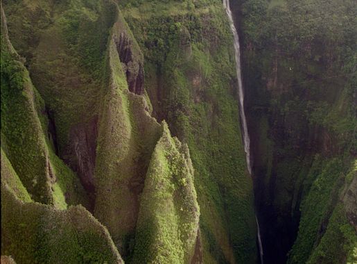 File:Marquises 9631a.jpg - Wikipedia