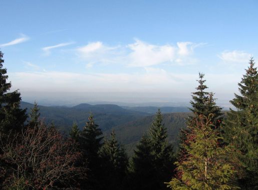 File:Thuringian forest oberer inselsberg view to north ds 10 2006.jpg -  Wikimedia Commons