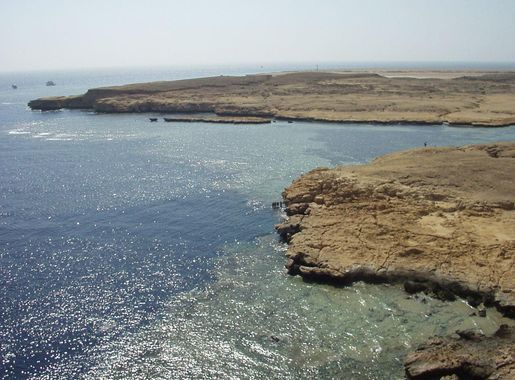 ملف:Coral reef in Ras Muhammad nature park.JPG - ويكيبيديا