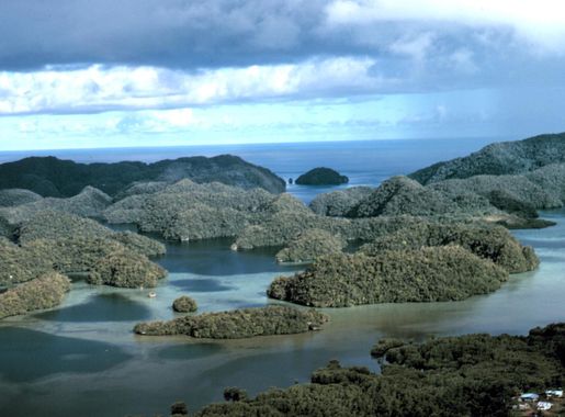 File:Aerial view limestone islands palau1971.jpg - Wikimedia Commons