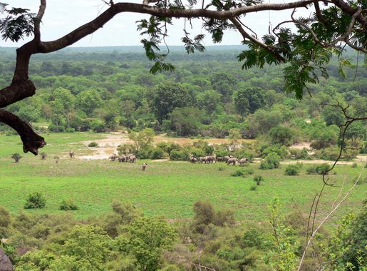 File:Mole National Park Ghana.jpg - Wikimedia Commons