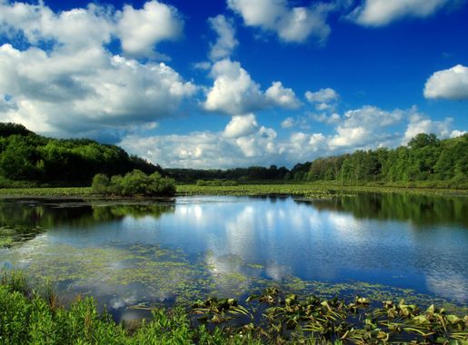 Free Images : landscape, tree, nature, wilderness, cloud, sky, meadow, lake,  river, mountain range, summer, pond, reflection, cumulus, reservoir,  highland, body of water, creativecommons, clouds, grassland, wetland,  pennsylvania, crawfordcounty, lilies ...