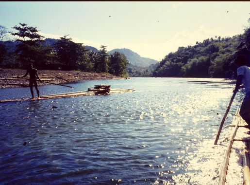 File:Jamaica, Rio Grande2.JPG - Wikimedia Commons