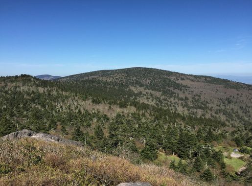 File:2017-05-16 09 51 01 View west-northwest toward Mount Rogers from the  summit of Pine Mountain within the Mount Rogers National Recreation Area in  Grayson County, Virginia.jpg - Wikipedia