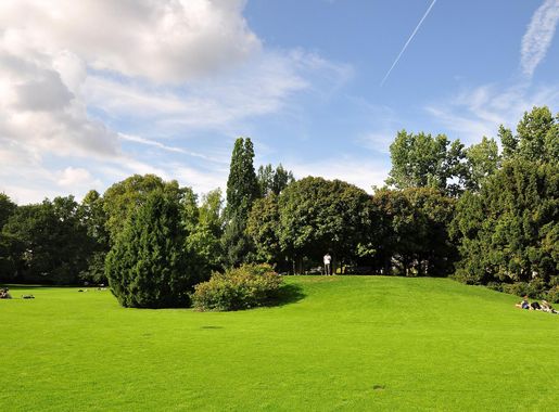 File:Arboretum (Zürich) 2011-07-28 17-49-18.jpg - Wikimedia Commons