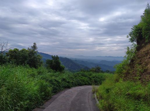 File:Road to Thanchi (10).jpg - Wikimedia Commons