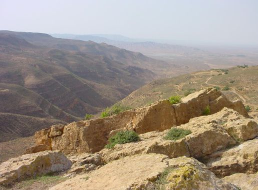 Fichier:Al Asabiya03.JPG — Wikipédia