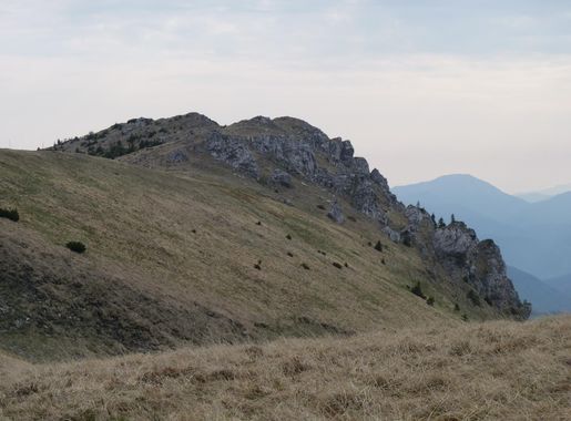 Súbor:Veľká Fatra, Suchý vrch (4).JPG – Wikipédia