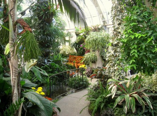 File:Gaiser Conservatory (Manito Park) - IMG 6982.JPG - Wikimedia Commons