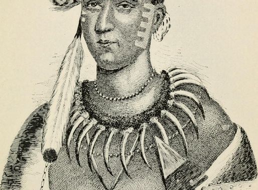 File:Iowa, the first free state in the Louisiana purchase - from its  discovery to the admission of the state into the Union, 1673-1846 (1905)  (14580069357).jpg - Wikimedia Commons