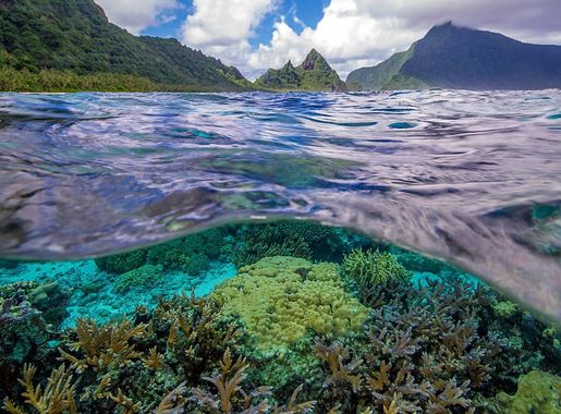 File:National Park of American Samoa.jpg - Wikimedia Commons