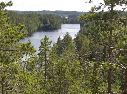 Tiedosto:Luotolahdensalmi 01.jpg – Wikipedia