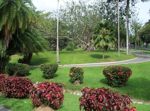 Ofbyld:Botanic Gardens Trinidad 2006-03-22.JPG - Wikipedy