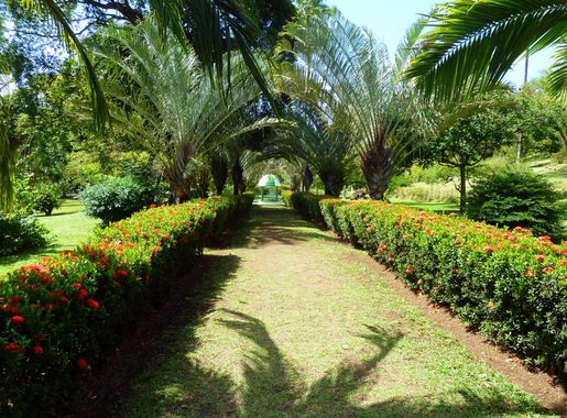 File:St. Vincent, Karibik - Botanical Garden of Kingstown - panoramio.jpg -  Wikimedia Commons