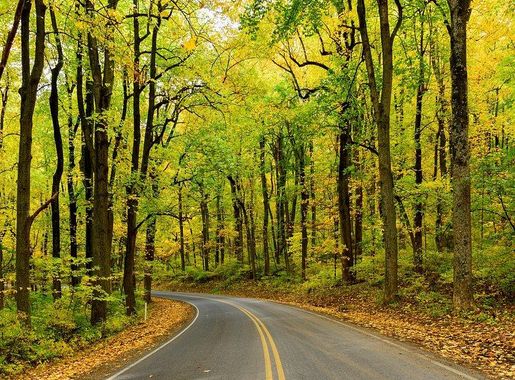 Winter Wonderland Treampealeau National Wildlife | Free Photo - rawpixel