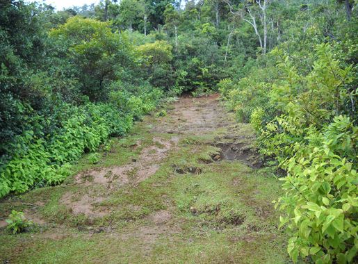 File:Macchabée Trail (4823338883).jpg - Wikimedia Commons