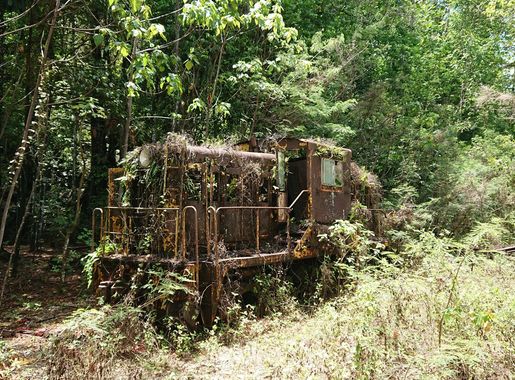 File:Former NSWGR 79 class locomotive abandoned on Christmas Island.jpg -  Wikimedia Commons