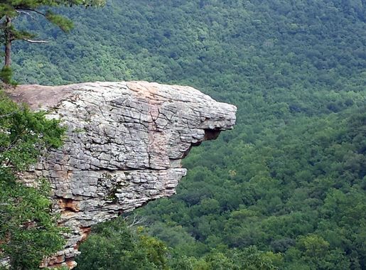File:Hawksbill Crag Trail 011.jpg - Wikimedia Commons
