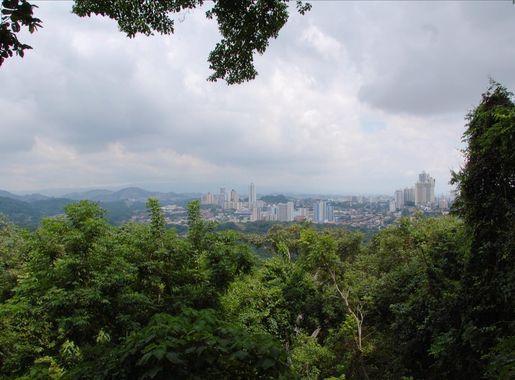 File:Metropolitan Natural Park, Panama City.jpg - Wikimedia Commons