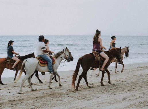 Free Images : equestrianism, animal sports, rein, trail riding, recreation,  equestrian sport, vacation, pack animal, bridle, fun, beach, tourism, mare,  mustang horse, leisure, sea, sand, stallion, saddle, Competitive trail  riding 5919x3936 -