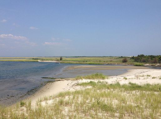 File:2013-08-21 12 34 24 Wetlands along Barnegat Bay near the southern end  of Island Beach State Park, New Jersey.jpg - Wikimedia Commons