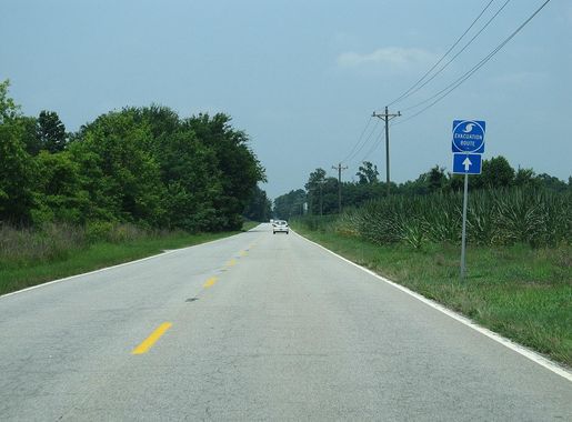 File:Bluff Route, State Route 48, En Route to Congaree National Park, South  Carolina (Thank Goodness It's a Hurricane Evacuation Route)  (5810734572).jpg - Wikimedia Commons