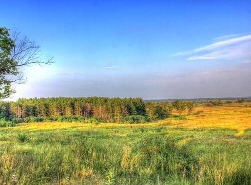 Trees and fields at Chain O Lakes State Park, Illinois image - Free stock  photo - Public Domain photo - CC0 Images