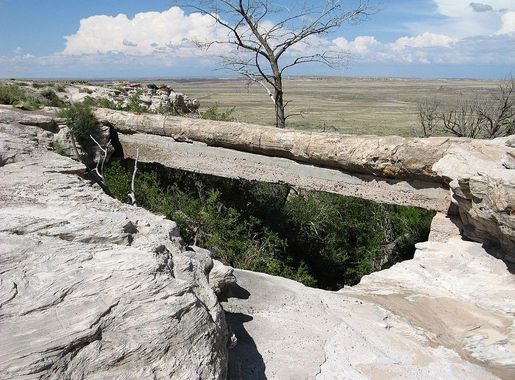 File:Agate Bridge-Petrified Forest National Park - panoramio.jpg -  Wikimedia Commons