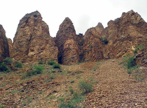 Państwowy Rezerwat „Szikahogh” – Wikipedia, wolna encyklopedia