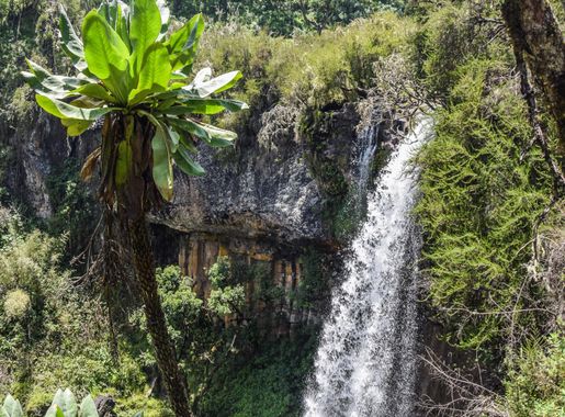 File:Aberdare National Park, Kenya (31184434040).jpg - Wikimedia Commons
