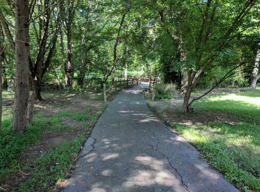 File:Sligo Creek Trail Kemp Mill 22.jpg - Wikimedia Commons