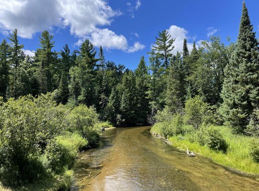 File:BoardmanRiver.jpg - Wikimedia Commons