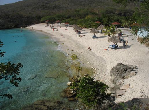 Bestand:Grote Knip (Curaçao).jpg - Wikipedia