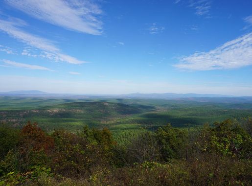 File:Talimena National Scenic Byway November 2016 14 (Cedar Lake Vista).jpg  - Wikimedia Commons