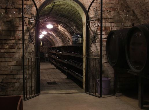 File:Mutenice wine cellar 4841.JPG - Wikimedia Commons