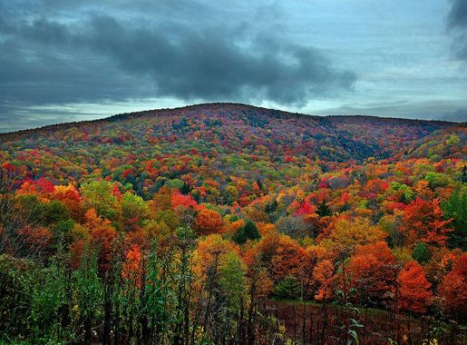 File:Colorful-autumn-mountain - Virginia - ForestWander.jpg - Wikimedia  Commons