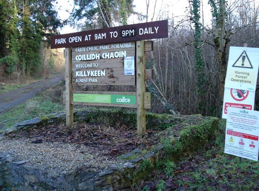 File:Killykeen Forest Park - geograph.org.uk - 2478787.jpg - Wikimedia  Commons